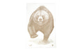 Action Target ACTION TGT AK STATE PARK BEAR 100PK