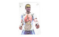 Action Target ACTION TGT BAG OF BONES 100PK