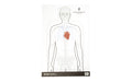 Action Target ACTION TGT FC DBL SIDE TRNG 100PK