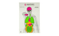Action Target ACTION TGT ANATOMY TRNG 100PK