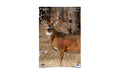 Birchwood Casey B/C PREGAME DEER TGT 3-16.5X24