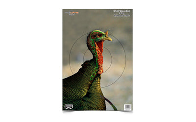 Birchwood Casey B/C PREGAME TURKEY TGT 8-12X18