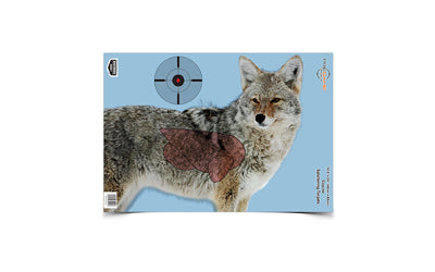 Birchwood Casey B/C PREGAME COYOTE TGT 3-16.5X24