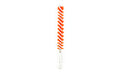 Birchwood Casey B/C NYLON BORE BRUSH .25CAL RED