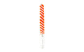Birchwood Casey B/C NYLON BORE BRUSH .284/7MM RED