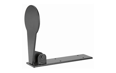 Birchwood Casey B/C W-OF-T POPPER RIMFIRE 4" PADDLE